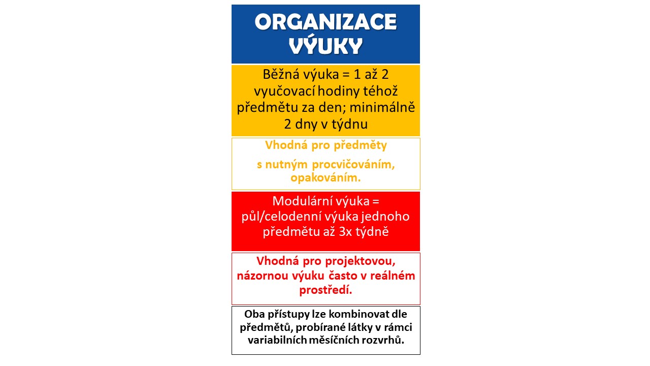 Organizace výuky